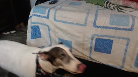 Snapshot of dream_real chatting on 10.12.25 dreamreal online show from 10.12.25