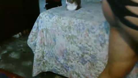 Snapshot of dream_real chatting on 10.31.25 dreamreal online show from 10.31.25