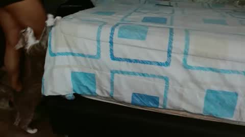 dreamreal online show from 11.01.25