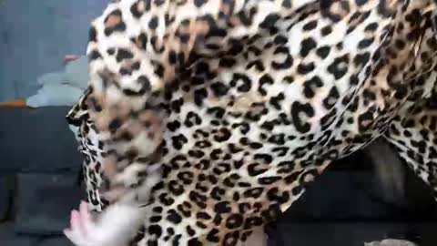 Snapshot of dreamesoul chatting on 11.07.25 dreamesoul online show from 11.07.25