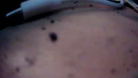 Snapshot of dreamy2020 chatting on 01.22.25 dreamy2020 online show from 01.22.25