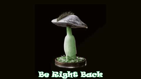 Tara  Sonny online show from 10.02.25