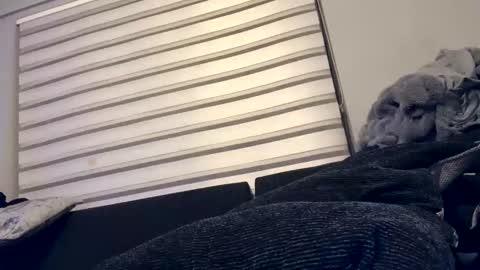 drippinggenie online show from 12.26.24