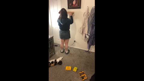 Drippy kitty  online show from 01.18.26