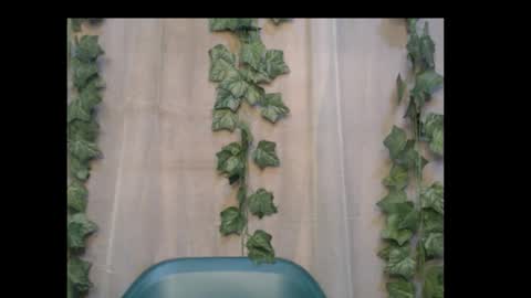 linda online show from 10.06.25