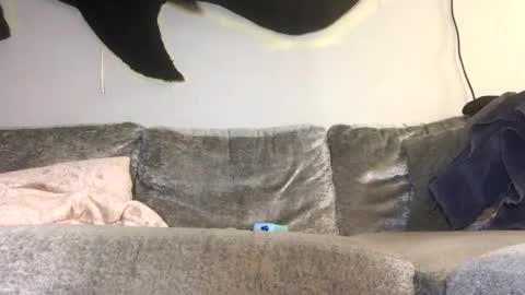 Snapshot of drobbb656 chatting on 02.26.26 2xTheTrouble online show from 02.26.26