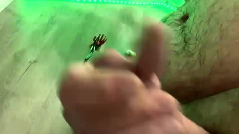 Snapshot of droppingloads82 chatting on 01.01.25 droppingloads82 online show from 01.01.25