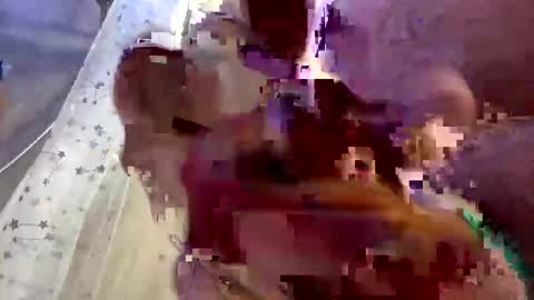 Snapshot of droppingloads82 chatting on 02.01.25 droppingloads82 online show from 02.01.25