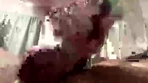 Snapshot of droppingloads82 chatting on 03.08.26 droppingloads82 online show from 03.08.26