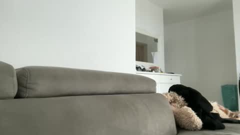 Dr. Resa online show from 10.18.25