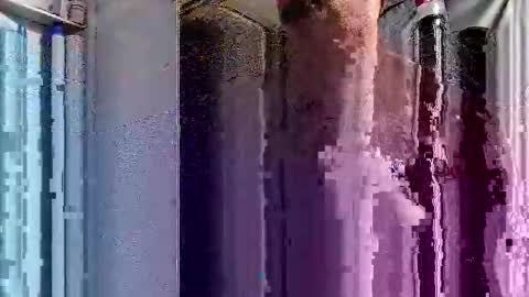 dsmock online show from 10.01.25