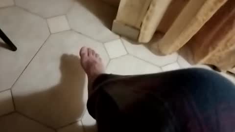 dthedog12 online show from 10.28.25