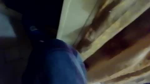 dthedog12 online show from 02.04.26