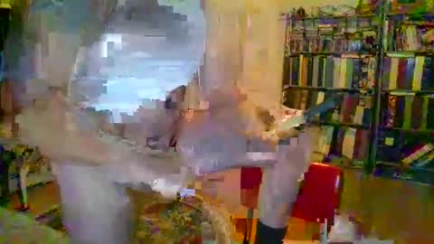 duallines2 online show from 03.14.26
