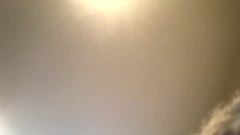 ducebabydee online show from 09.16.25