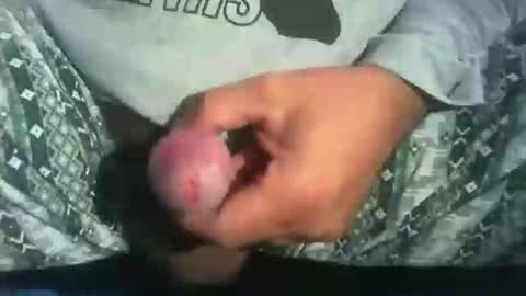 dude_13 online show from 10.16.25