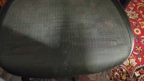 dudewipe online show from 02.07.26