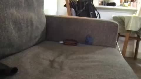 Snapshot of dulcemelo chatting on 03.17.26 dulcemelo online show from 03.17.26