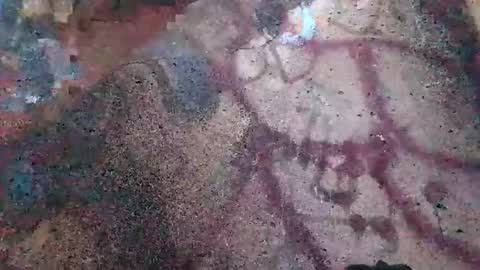 dwadek081704 online show from 11.02.25