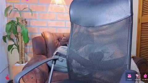 D Y L A N online show from 03.06.26