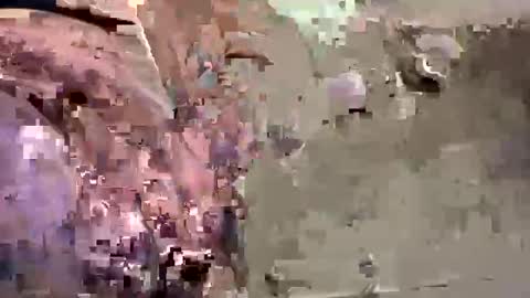 Easye online show from 01.26.25