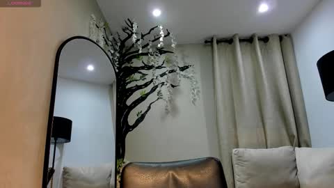      online show from 01.17.26