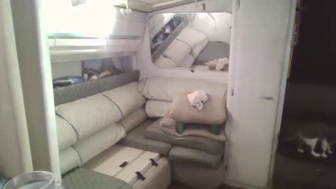 Tim online show from 12.02.24