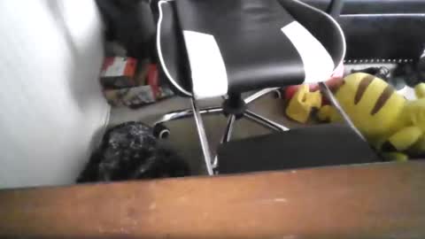 Snapshot of eddy815 chatting on 11.24.25 eddy815 online show from 11.24.25