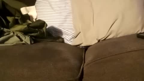 Snapshot of edmore1215 chatting on 12.11.24 edmore1215 online show from 12.11.24