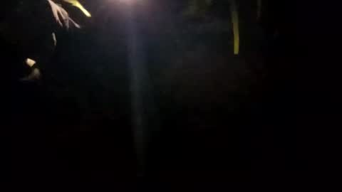 Snapshot of edmore1215 chatting on 01.14.25 edmore1215 online show from 01.14.25