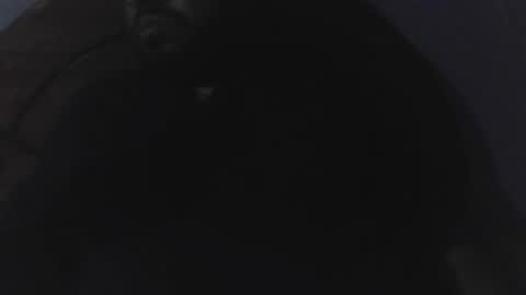 edu4394 online show from 03.23.26