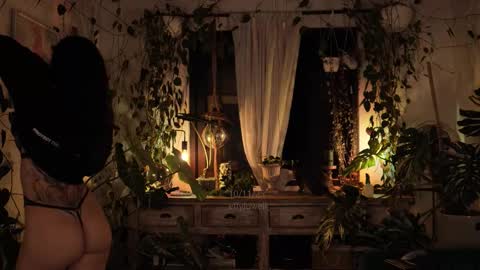 Effy online show from 11.11.25