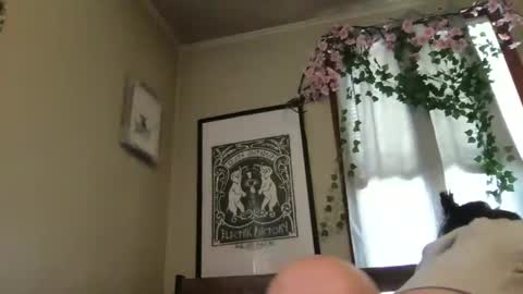 eggnog_and_booty online show from 05.12.26
