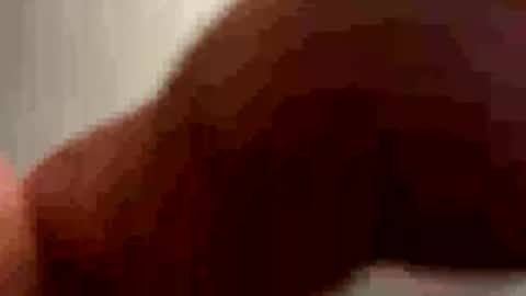 PiedPiper online show from 05.03.26