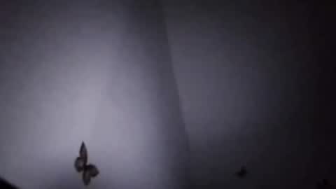 Snapshot of ekspansion chatting on 01.08.26 Ekspansion online show from 01.08.26