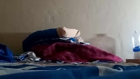 Sebastin online show from 01.05.25