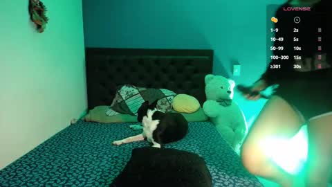 Snapshot of ela_0 chatting on 09.26.25 Ela  Help me reach 100 thumbs up online show from 09.26.25