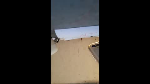 elaine33mae online show from 03.03.26