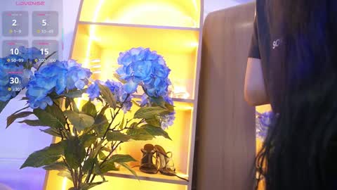 Elasummeer online show from 11.25.25