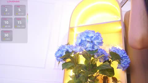 Elasummeer online show from 11.29.25