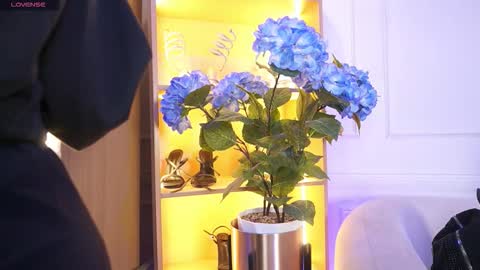 Elasummeer online show from 12.20.25