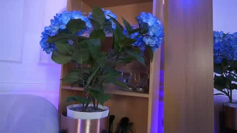 Snapshot of elasummeer chatting on 02.04.26 Elasummeer online show from 02.04.26