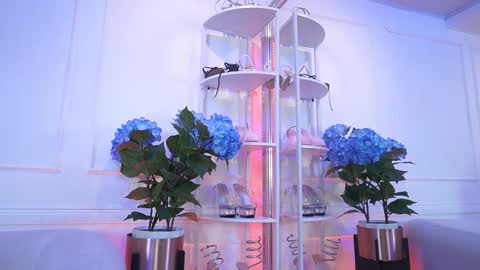 Snapshot of elasummeer chatting on 02.13.26 Elasummeer online show from 02.13.26