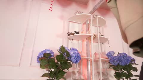 Snapshot of elasummeer chatting on 02.14.26 Elasummeer online show from 02.14.26