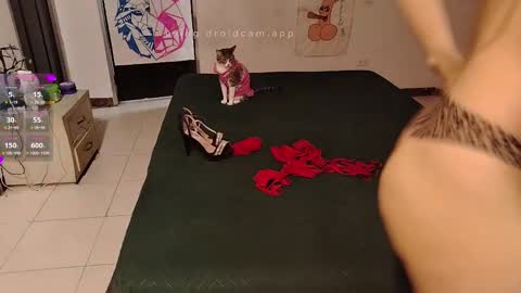 Elektra and Konan online show from 09.20.25