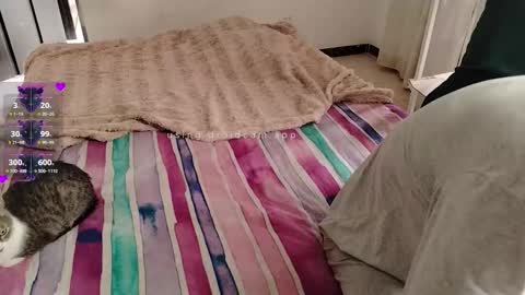 Snapshot of elektra_and_konan_01 chatting on 11.28.25 Elektra and Konan online show from 11.28.25