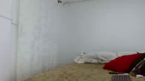 elektra online show from 09.16.25