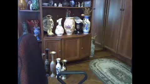 ElenaZed online show from 02.13.26