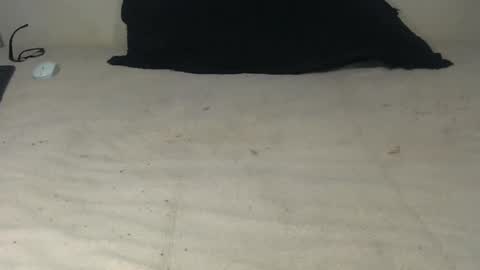 elgsslt online show from 10.20.25