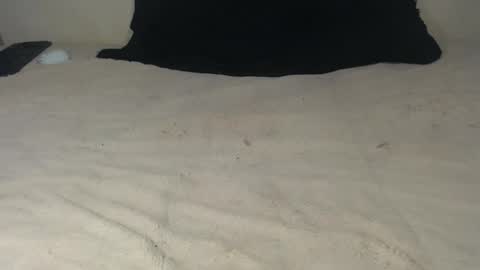 elgsslt online show from 10.21.25